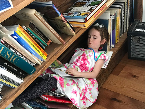 Matt Williamson Construction