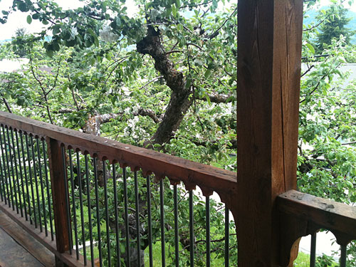 Matt Williamson Construction