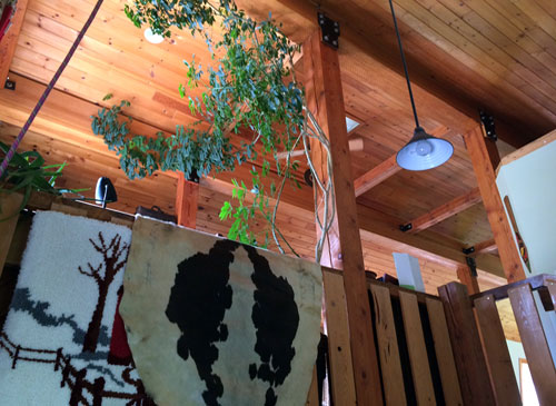 Matt Williamson Constructioin