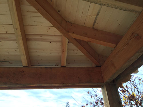 Matt Williamson details