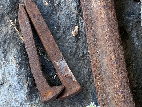 Matt Williamson Construction